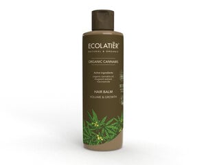 Matu balzams, Ecolatier, brūns, 250 ml cena un informācija | Matu kondicionieri, balzāmi | 220.lv