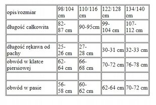 HELOVĪNA RAGANAS KOSTĪMS 3 GAB. 98/104 cena un informācija | Karnevāla tērpi, maskas | 220.lv