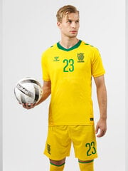 Футболка HUMMEL LITHUANIA 24/25 HOME JERSEY S/S 22647052415715454780761 цена и информация | Мужская спортивная одежда | 220.lv