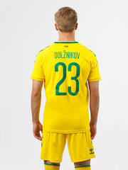 Футболка HUMMEL LITHUANIA 24/25 HOME JERSEY S/S 22647052415715454780761 цена и информация | Мужская спортивная одежда | 220.lv