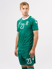 T-krekls HUMMEL LITHUANIA 24/25 HOME JERSEY S/S 22647561315715454780969 cena un informācija | Sporta apģērbs vīriešiem | 220.lv