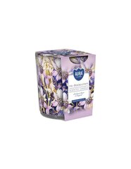 Aura aromātiskā svece Iris Black Currant 100 g cena un informācija | Sveces un svečturi | 220.lv