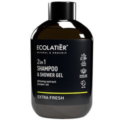 Šampūns un dušas gels 2-in-1, Ecolatier, melns, 400 ml cena un informācija | Šampūni | 220.lv