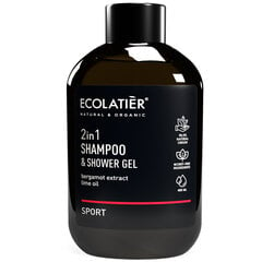 Šampūns un dušas gels 2-in-1, Ecolatier, melns, 400 ml cena un informācija | Šampūni | 220.lv