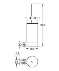 Grohe Selection piekaramā tualetes birste 41076GN0 cena un informācija | Vannas istabas aksesuāri | 220.lv