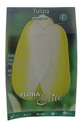 Tulpes Angels Wish Flora Elite, 10gab. cena un informācija | Sīpolpuķes | 220.lv