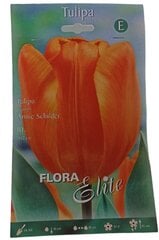 Tulpes Annie Schilder Flora Elite, 10gab. cena un informācija | Sīpolpuķes | 220.lv