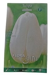 Tulpes Clearwater Flora Elite, 10gab. cena un informācija | Sīpolpuķes | 220.lv