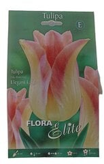 Tulpes Elegant Lady Flora Elite, 10gab. cena un informācija | Sīpolpuķes | 220.lv