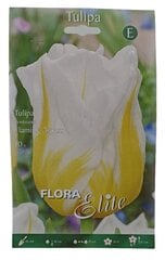 Tulpes Flaming Agrass Flora Elite, 10gab. cena un informācija | Sīpolpuķes | 220.lv