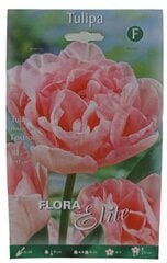 Tulpes Foxtrot Flora Elite, 10gab. cena un informācija | Sīpolpuķes | 220.lv