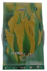 Tulpes Green Mile Flora Elite, 10gab. cena un informācija | Sīpolpuķes | 220.lv