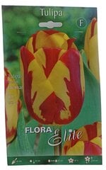 Tulpes Helmar Flora Elite, 10gab. cena un informācija | Sīpolpuķes | 220.lv