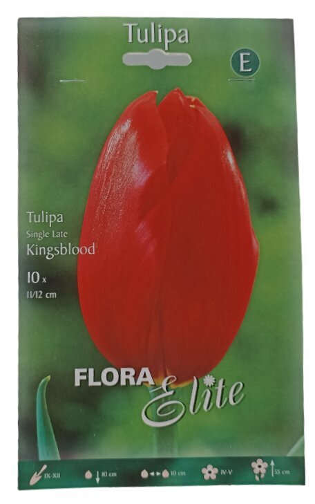 Tulpes Kingsblood Flora Elite, 10gab. cena un informācija | Sīpolpuķes | 220.lv