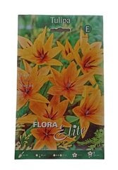 Tulpes Shogun Flora Elite, 10gab. cena un informācija | Sīpolpuķes | 220.lv