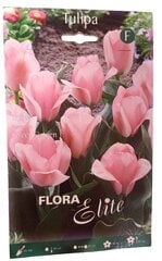 Tulpes Sweet Sixteen Flora Elite, 10gab. cena un informācija | Sīpolpuķes | 220.lv