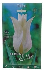 Tulpes White Triumphator Flora Elite, 10gab. cena un informācija | Sīpolpuķes | 220.lv