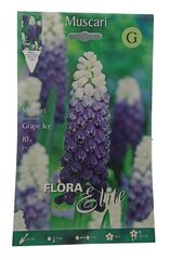 Muskares Grape Ice Flora Elite, 10gab. cena un informācija | Sīpolpuķes | 220.lv