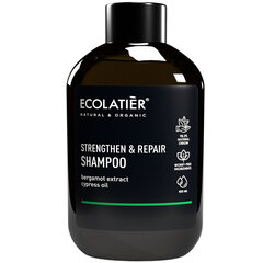 Šampūns Ecolatier, 400 ml cena un informācija | Šampūni | 220.lv