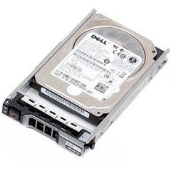 SERVERA ACC HDD 12TB 7.2K NLSAS/3.5'' G14-G16 161-BCJW DELL cena un informācija | Serveri | 220.lv