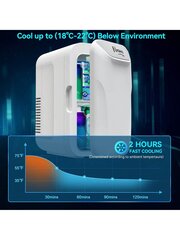 NXONE mini ledusskapis, 8 can/6 litru mazs ledusskapis, 110 VAC/ 12 V DC pārnēsājams termoelektriskais dzesētājs un sildītājs saldētava ādas kopšanas galds Little Tiny ledusskapis F cena un informācija | Intīmās higiēnas līdzekļi | 220.lv