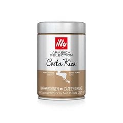 Kafijas pupiņas Illy Costa Rica, 250g cena un informācija | Kafija, kakao | 220.lv