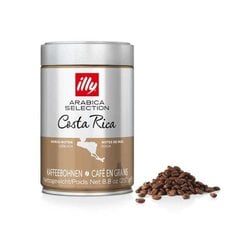 Kafijas pupiņas Illy Costa Rica, 250g cena un informācija | Kafija, kakao | 220.lv