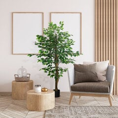 HOMCOM Mākslīgais augs, 150 cm mākslīgais augs ar kastroli, mākslīgās sūnas, mākslīgais ficus koks, telpaugs viesistabai, zaļš cena un informācija | Mākslīgie ziedi | 220.lv