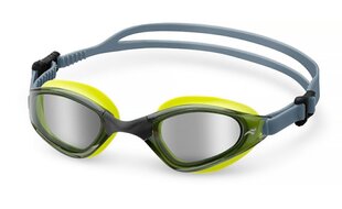 Peldēšanas brilles Aqua Speed Zen, zilas/zaļas cena un informācija | Peldēšanas brilles | 220.lv