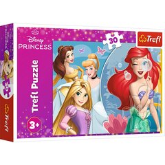 TREFL DISNEY PRINCESS Puzle Princesess, 30 gab. цена и информация | Песочницы, песок | 220.lv