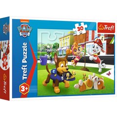 TREFL PAW PATROL Puzle Paw Patrol, 30 gab. цена и информация | Песочницы, песок | 220.lv