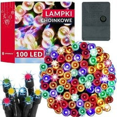 Ziemassvētku lampiņas Springos CL0128 100 Led cena un informācija | Ziemassvētku lampiņas, LED virtenes | 220.lv