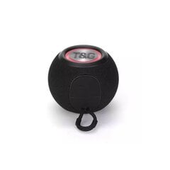 Беспроводная колонка Yimgotta 35923275 57MM 40H HiFi TWS AUX Bluetooth5.3 цена и информация | Аудиоколонки | 220.lv