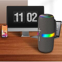 Bezvadu skaļrunis Newmine N511 78MM RGB 24H tf 4500mah AUX USB ipx5 Bluetooth5.2 30W cena un informācija | Skaļruņi | 220.lv