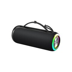 Bezvadu skaļrunis Newmine BT507 66MM RGB 24H 5200mah ipx6 AUX type-c ipx5 Bluetooth5.0 40W cena un informācija | Skaļruņi | 220.lv