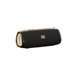 Bezvadu skaļrunis Soaiy S36MAX USB ipx4 57MM TYPE-C 20H RGB TWS TF AUX 4000mah Bluetooth5.3 20W cena un informācija | Skaļruņi | 220.lv