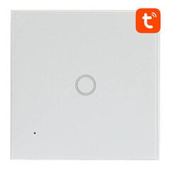 Smart Light Switch WiFi NEO NAS-SC01WE 1 Way Neo cena un informācija | Elektrības slēdži, rozetes | 220.lv