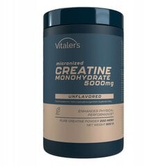 Vitaler's Sport Creatine Monohydrate kreatīna pulveris, 500 g cena un informācija | Kreatīni | 220.lv