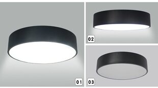 Jumta lampa Whitney 40x10cm cena un informācija | Griestu lampas | 220.lv