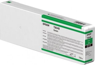 Epson Ink Green (C13T804B00), цена и информация | Картриджи для струйных принтеров | 220.lv