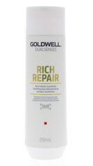 Шампунь для поврежденных волос Goldwell Rich Repair Restoring Shampoo 250 мл цена и информация | Шампуни | 220.lv
