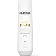 Atjaunojošs šampūns Goldwell Dualsenses Rich Repair, 250 ml cena un informācija | Šampūni | 220.lv