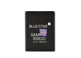 BlueStar Аккумулятор Samsung B3410 S5620 S3650 Li-Ion 1000 mAh Аналог AB463651BE цена и информация | Аккумуляторы для телефонов | 220.lv