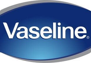 Lūpu balzams Vaseline Original, 100 ml цена и информация | Помады, бальзамы, блеск для губ | 220.lv