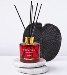 Mājas aromāts ar kociņiem Premium Sorvella Perfume Red Baccarat, 120 ml cena un informācija | Mājas aromāti | 220.lv