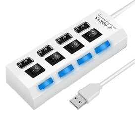 Aktīvais USB koncentrators Perfee, 4 porti, balts cena un informācija | Adapteri un USB centrmezgli | 220.lv