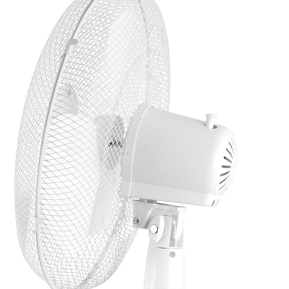 Ventilators, Esperanza EHF001WW, 50W, balts cena un informācija | Ventilatori | 220.lv