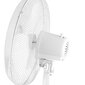 Ventilators, Esperanza EHF001WW, 50W, balts cena un informācija | Ventilatori | 220.lv