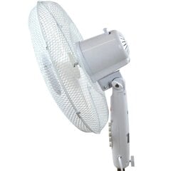 Ventilators, Esperanza EHF001WW, 50W, balts cena un informācija | Ventilatori | 220.lv