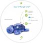 Nakts lampa ar gaismas projekciju un melodijām Bruņurupucis purpurs Tranquil Turtle Aqua Ocean, Cloud B 008434 cena un informācija | Rotaļlietas zīdaiņiem | 220.lv
